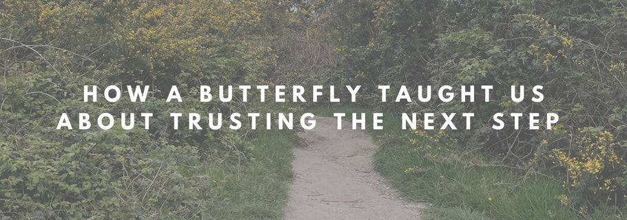How a Butterfly Taught Us about Trusting the Next Step