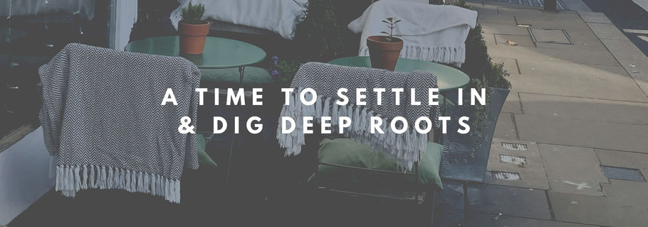 A Time to Settle In & Dig Deep Roots